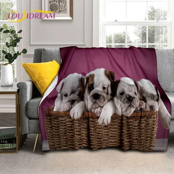 карикатура френски питбул куче домашен любимец 3D одеяло, меко хвърляне одеяло за дома спалня легло диван пикник пътуване офис покритие одеяло деца