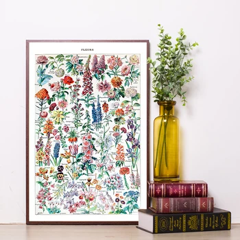 Реколта цветя платно изкуство отпечатъци LAROUSSE плакат цветни антични ботаническа живопис стена снимки хол декор