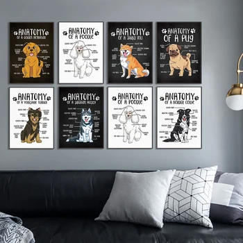 Смешно животно куче Shephe анатомия стена изкуство платно плакат печат офис живопис картина Начало хол декорация живопис